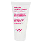 Evo Lockdown Leave In Smoothing Treatment 30ml