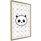 Artgeist Poster Affisch Pandas and Bears 40x60cm Guld Ram Med Passepartout