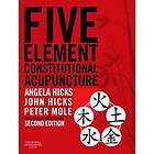 Angela Hicks: Five Element Constitutional Acupuncture