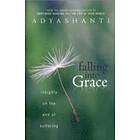 Adyashanti: Falling into Grace