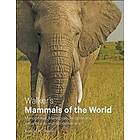 Ronald M Nowak: Walker's Mammals of the World