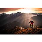 Ride Poster 50x70cm