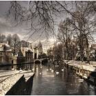 Bruges In Christmas Dress Poster