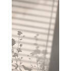 Venture Home Posters Flower Shadow Vit Poster shadow White 21x30