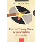 Davide Nicolini: Practice Theory, Work, and Organization