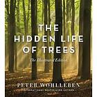 Peter Wohlleben: The Hidden Life of Trees