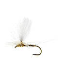 Uniqe Flies Sulphurea Dun Quill Yellow TMC100 #14