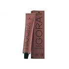 Schwarzkopf Igora Color 10 6,00 60ml