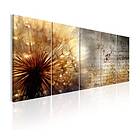Arkiio Tavla Sunny Dandelion 225x90
