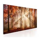 Arkiio Tavla Autumnal Dawn 135x45 A3-N6325