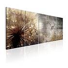 Arkiio Tavla Beige Dandelion 225x90