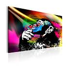 Arkiio Tavla Monkey Disco 60x40 A3-N5611