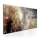 Arkiio Tavla Dandelion On Concrete on 120x40 A3-N6850