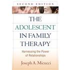 Joseph A Micucci: The Adolescent in Family Therapy