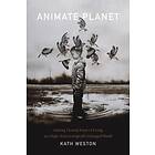 Kath Weston: Animate Planet