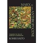 Kohei Saito: Marx in the Anthropocene