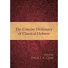 David J A Clines: The Concise Dictionary of Classical Hebrew