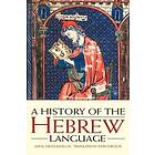 Angel Senz-Badillos: A History of the Hebrew Language