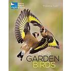 Marianne Taylor: RSPB Garden Birds