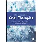 Edith Maria Steffen: The Handbook of Grief Therapies