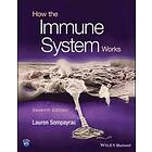 L Sompayrac: How the Immune System Works, 7th Edition