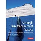 Torben Juul Andersen: Strategic Risk Management Practice