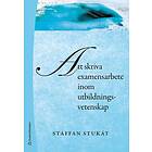 Staffan Stukát: Att skriva examensarbete inom utbildningsvetenskap