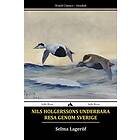 Selma Lagerlöf: Nils Holgerssons Underbara Resa Genom Sverige