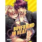 , Sakira: Boyfriend In Heat