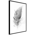 Artgeist Inramad PLAKAT Poster Lost / Tavla Feather Guld (Grey) med passepartout