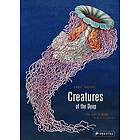 Ernst Haeckel, Maike Biederstaedt: Creatures of the Deep