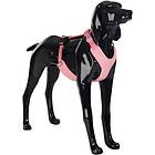 PAIKKA Visibility Harness Pink XL