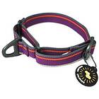 OllyDog Martingale Mesa Collar Wild Aster (Medium)