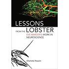 Charlotte Nassim: Lessons from the Lobster