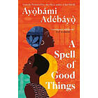 Ayobami Adebayo: A Spell of Good Things