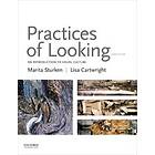 Marita Sturken: Practices of Looking