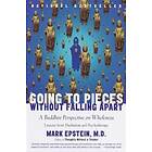 Mark Epstein: Going To Pieces Without Falling Apart