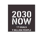 2030 NOW (UK)