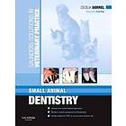 Saunders Solutions in Veterinary Practice: Small Animal Dentistry