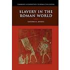 Slavery in the Roman World