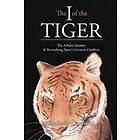 Kimberly Carducci: The I of the Tiger