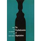 Larry Hirschorn: Psychodynamics Organization