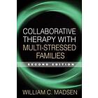 Collaborative Therapy with Multi-Stressed Families