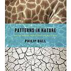 Philip Ball: Patterns in Nature