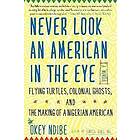 Okey Ndibe: Never Look An American In The Eye