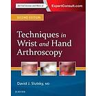 David J Slutsky: Techniques in Wrist and Hand Arthroscopy