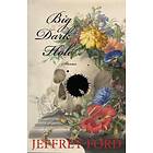 Jeffrey Ford: Big Dark Hole