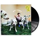 Rex Orange County - Who Cares? LP