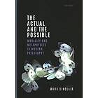 Mark Sinclair: The Actual and the Possible