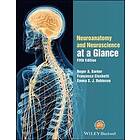 RA Barker: Neuroanatomy and Neuroscience at a Glance